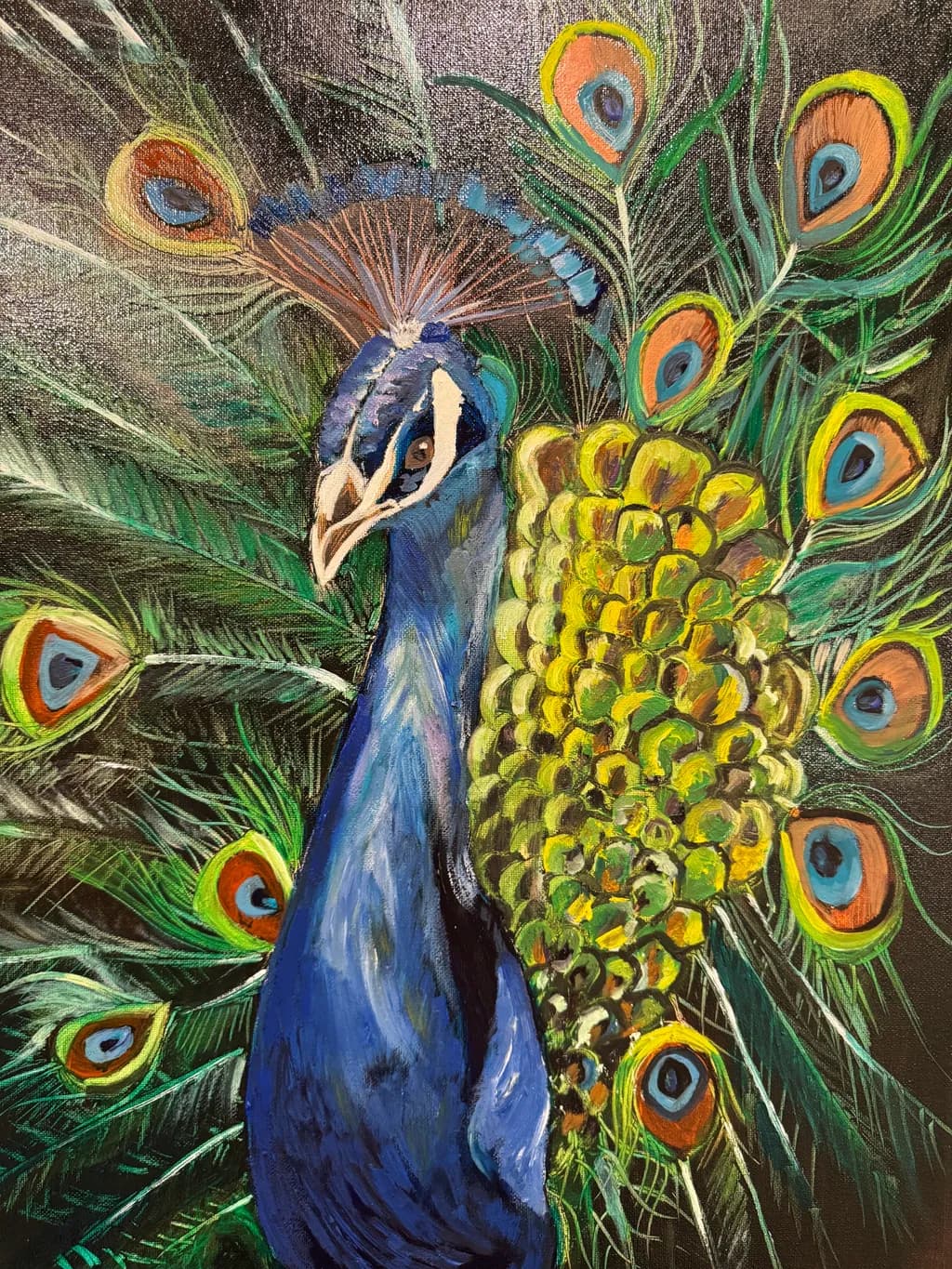Majestic Peacock