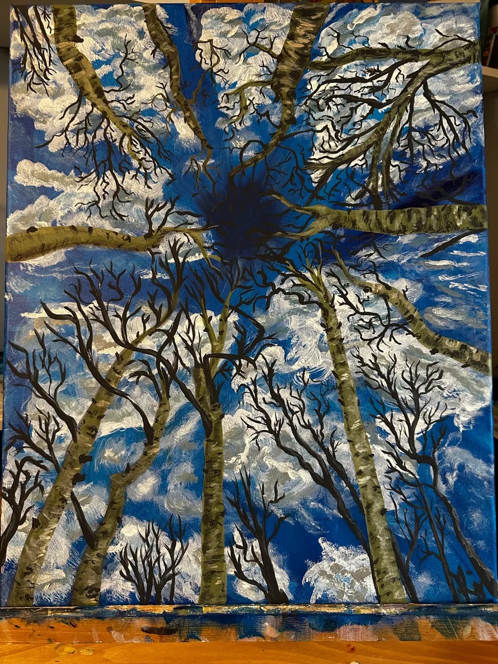 Skyward Canopy