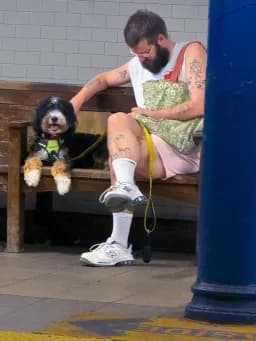 Waiting for the Subway