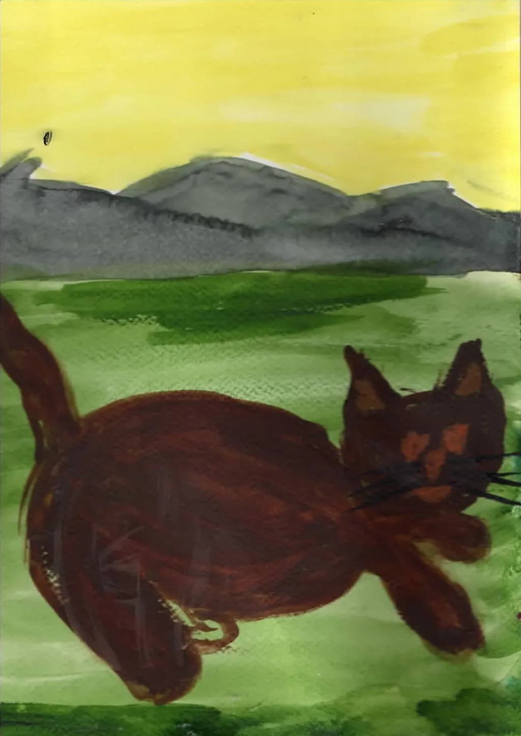 Brown Kitty