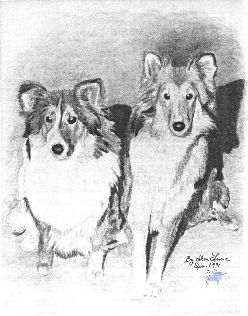 Whiskers and Whimsy: A Charcoal Portrait of Two Loyal Companions