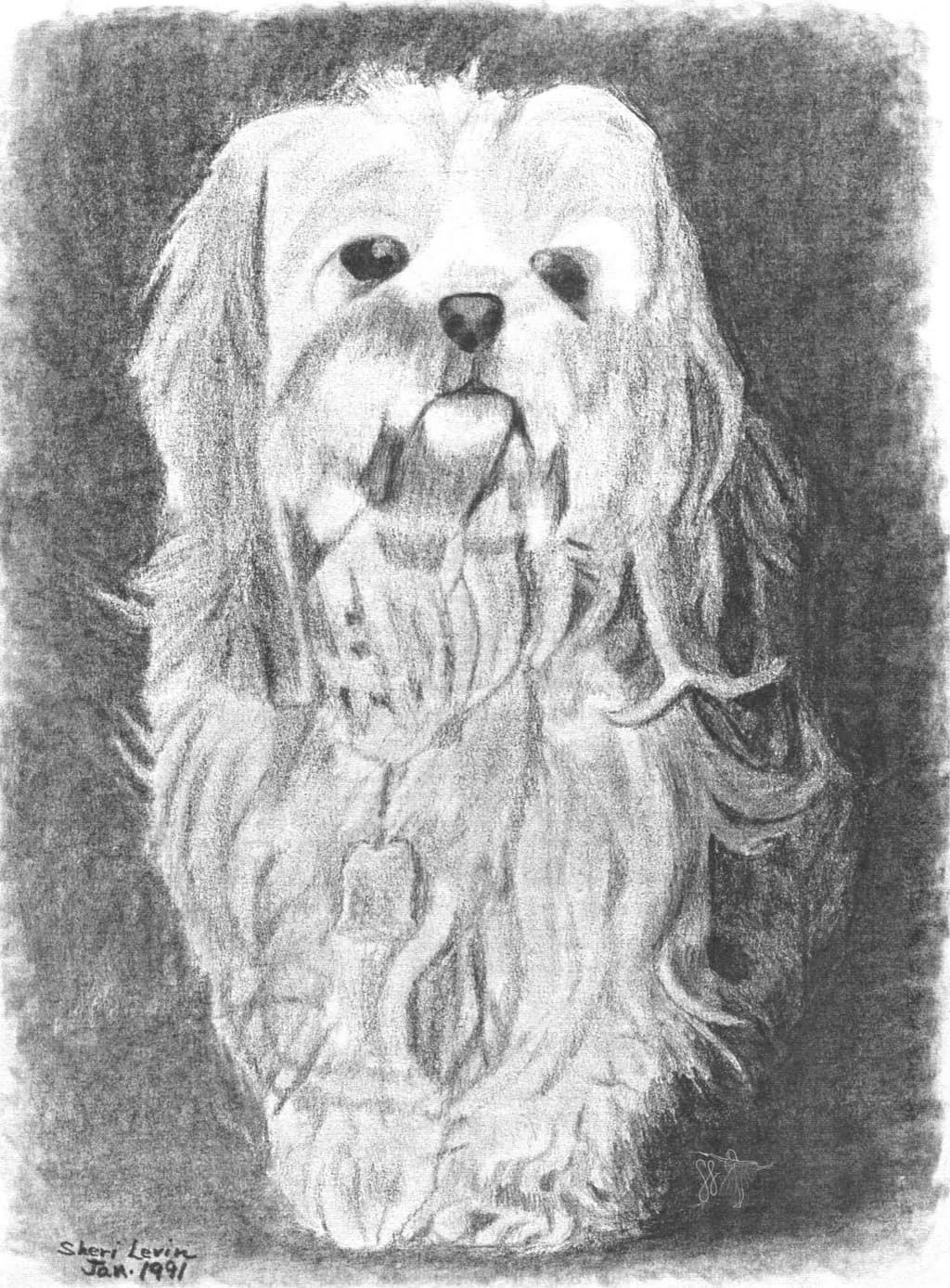 Whiskers and Whimsy: A Black-and-White Portrait of Canine Charm