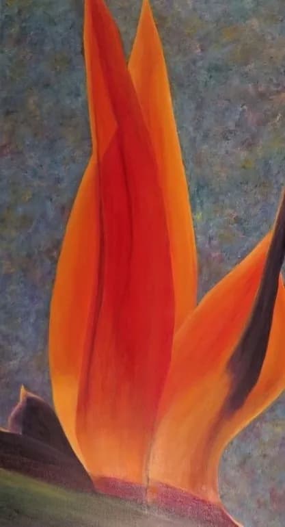 Fiery Embrace: A Dance of Passionate Petals in Vibrant Hues