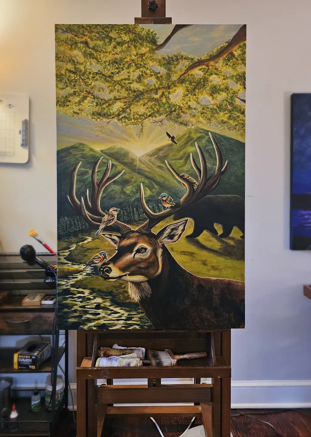 Where the Wild Meets Light