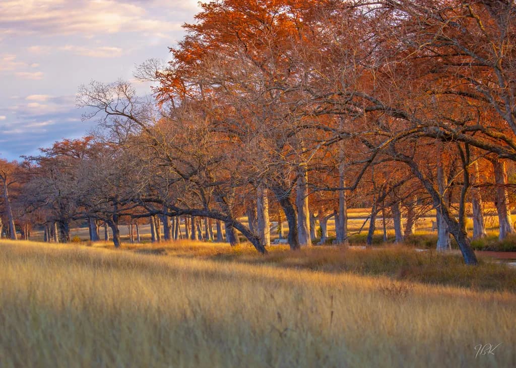 Autumn's Embrace