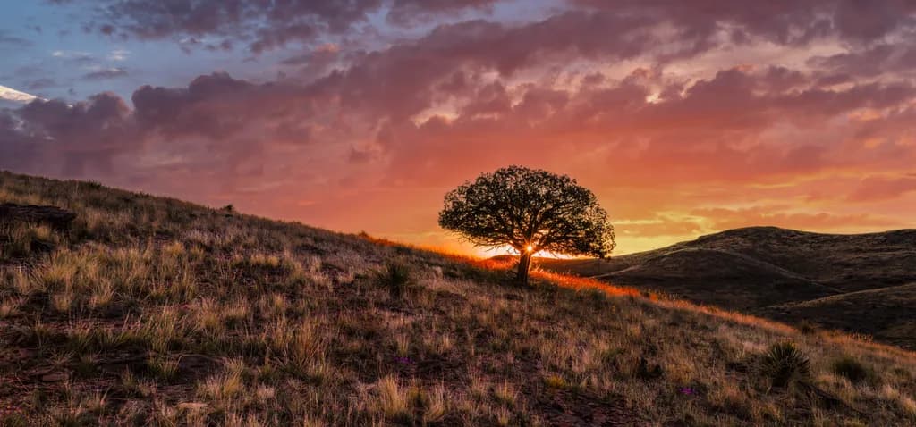 Last Light Solitude