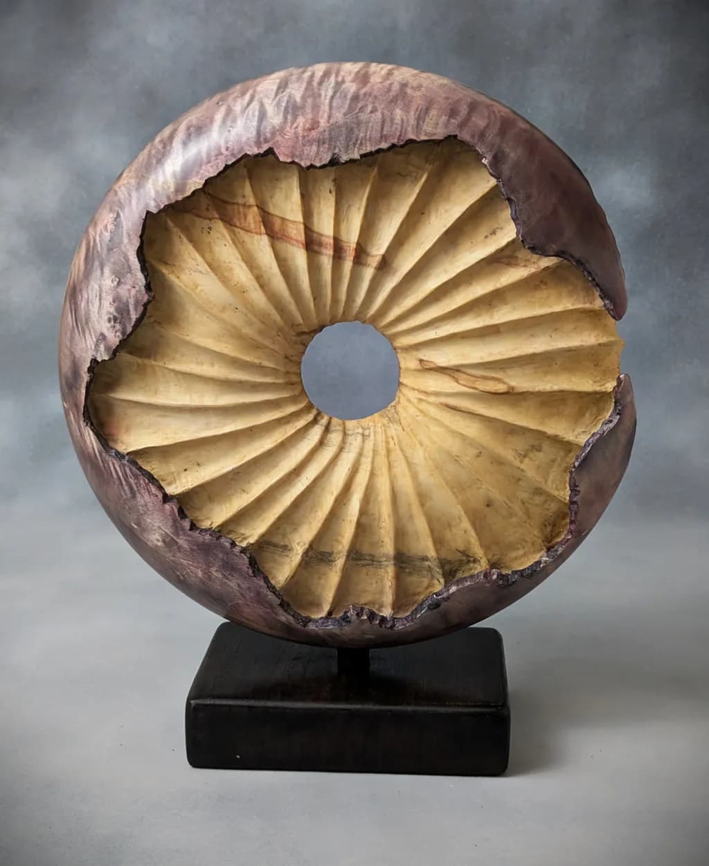 Spiral Hollow Shell