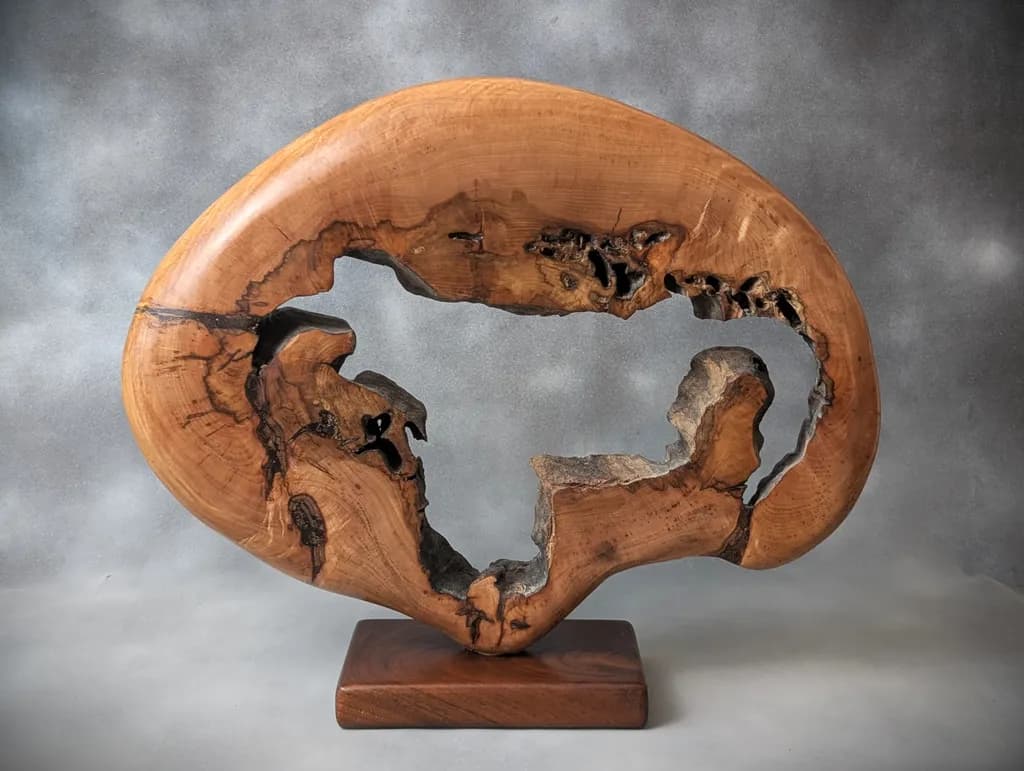 Hollow Knotwood Sculpture