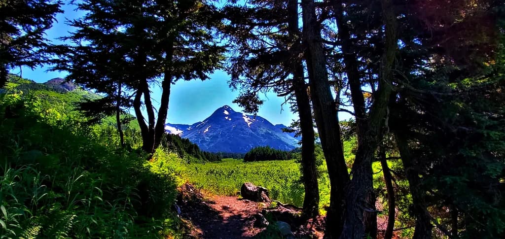 Glory Trail