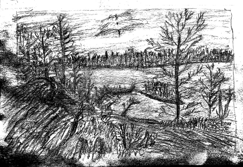 Silent Landscape
