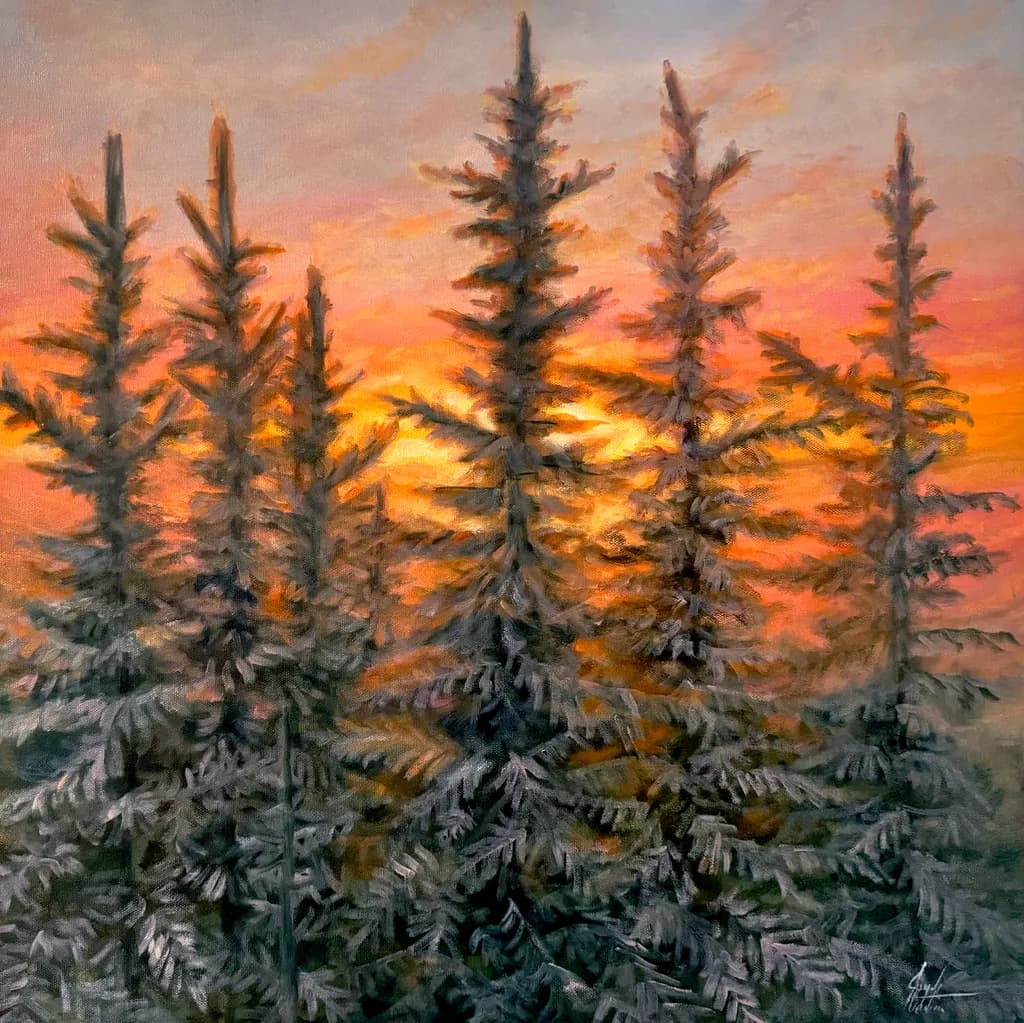 Sunset Pines