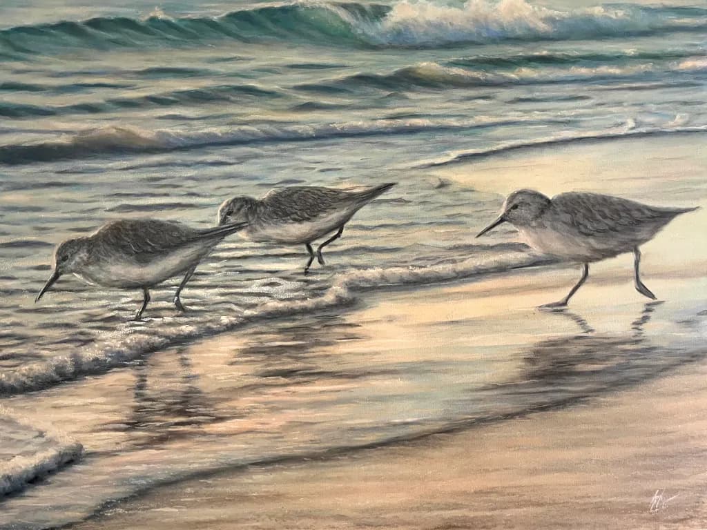 Shoreline Foragers