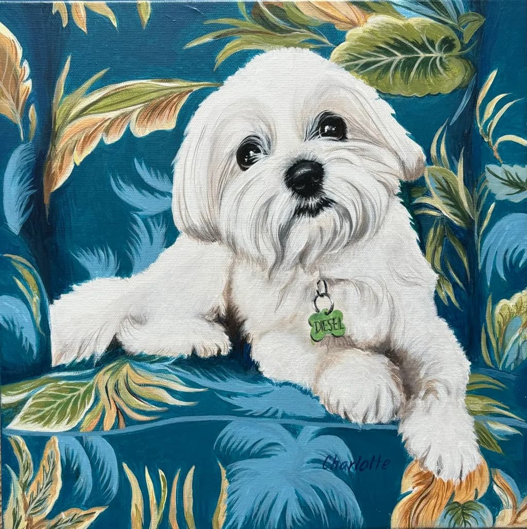 Diesel on the Blue Chair