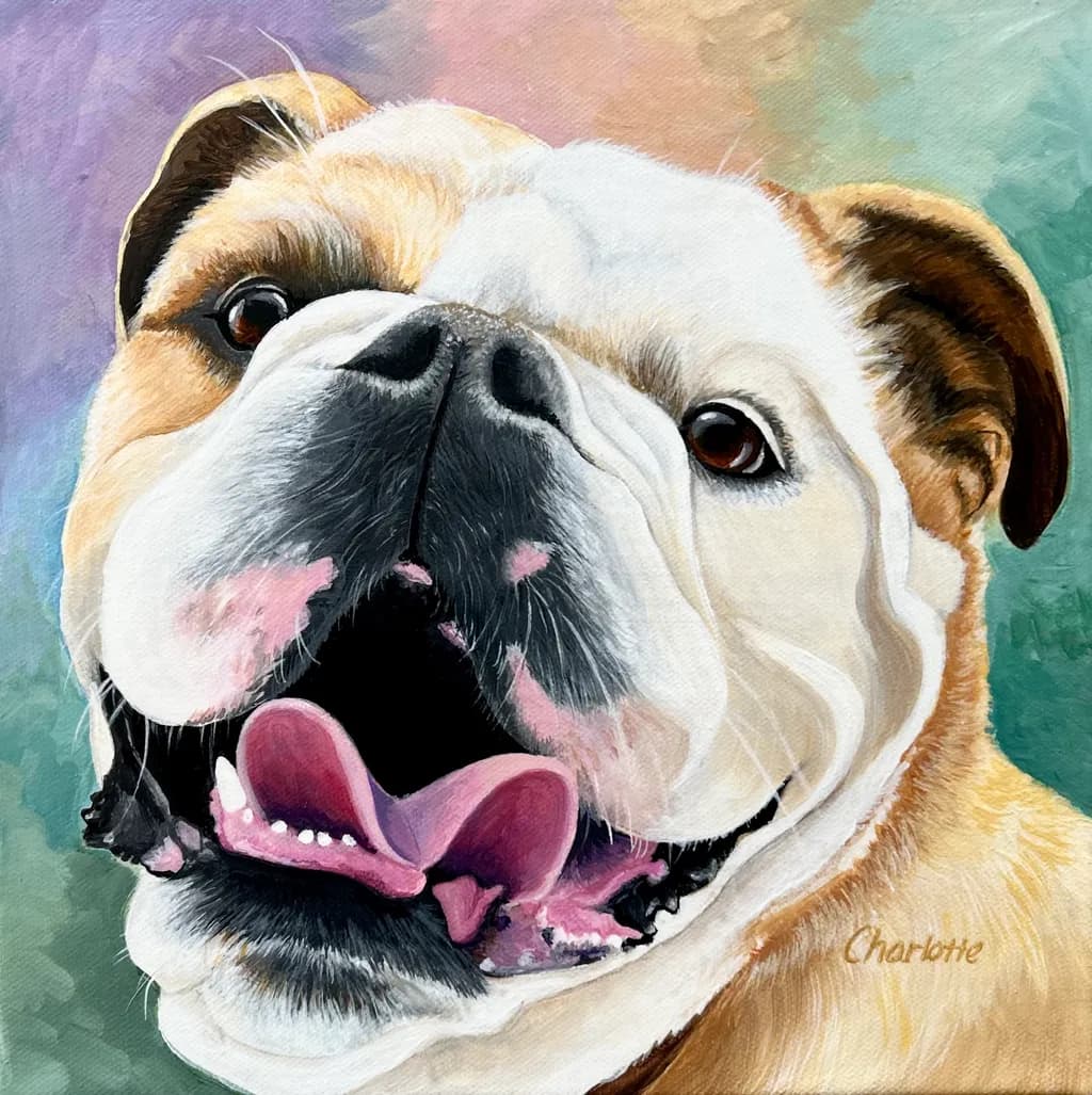 Happy Bulldog Smile