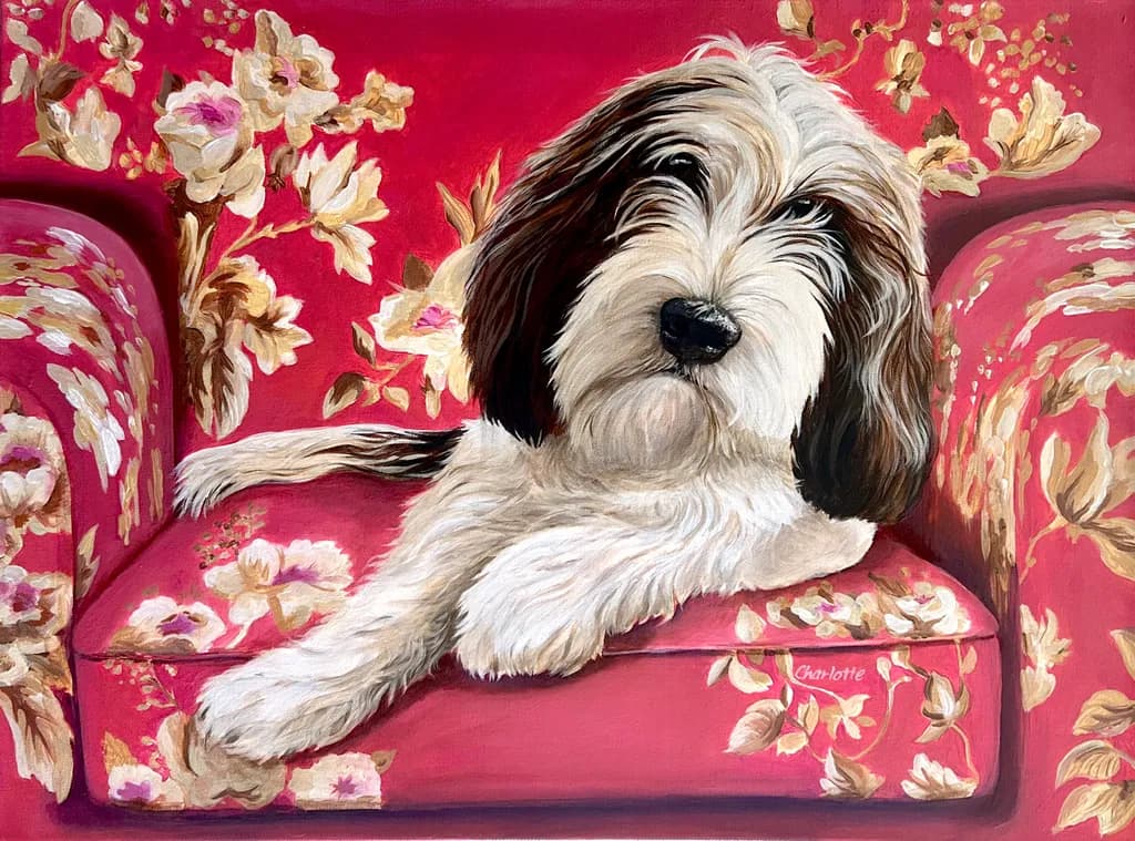 Cozy Companion