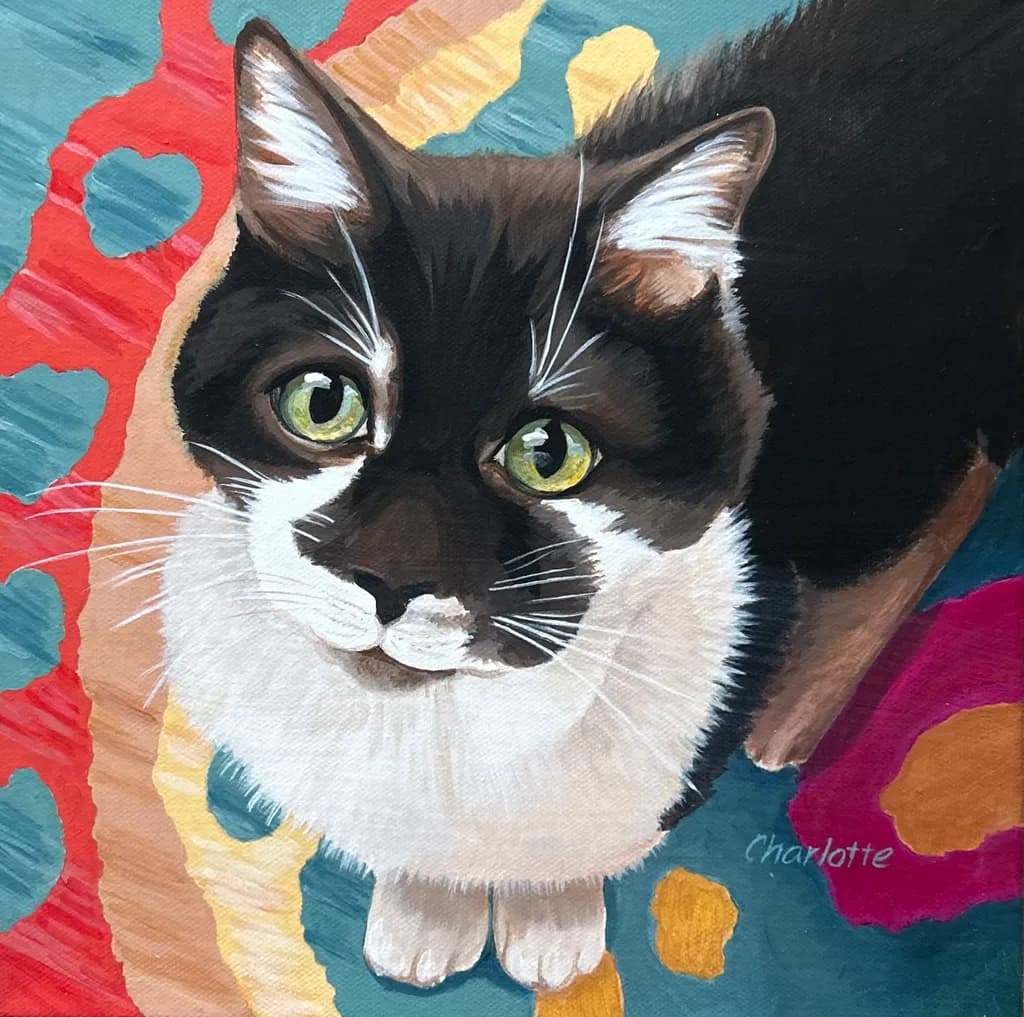 Curious Whiskers