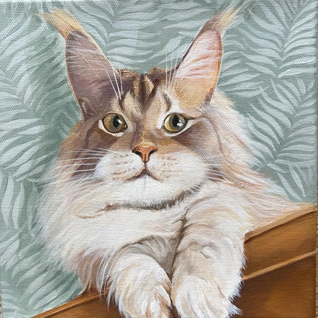 Curious Calm