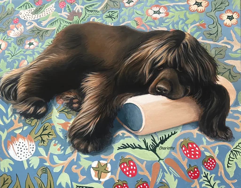 Cozy Companion