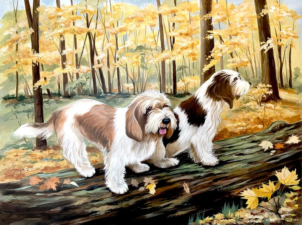 Forest Companions