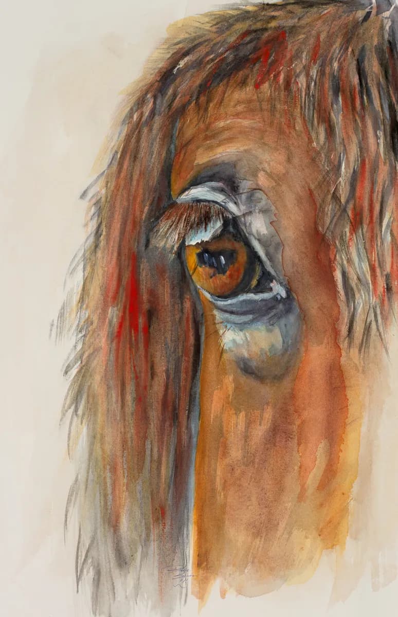 Eye of Reflection