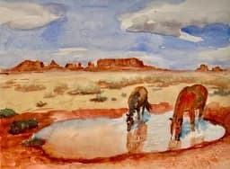 Desert Horses at Water