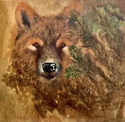 Bear in the Bushes