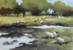 Along the Creek