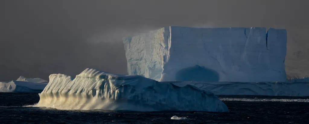 Icebergs at Sea