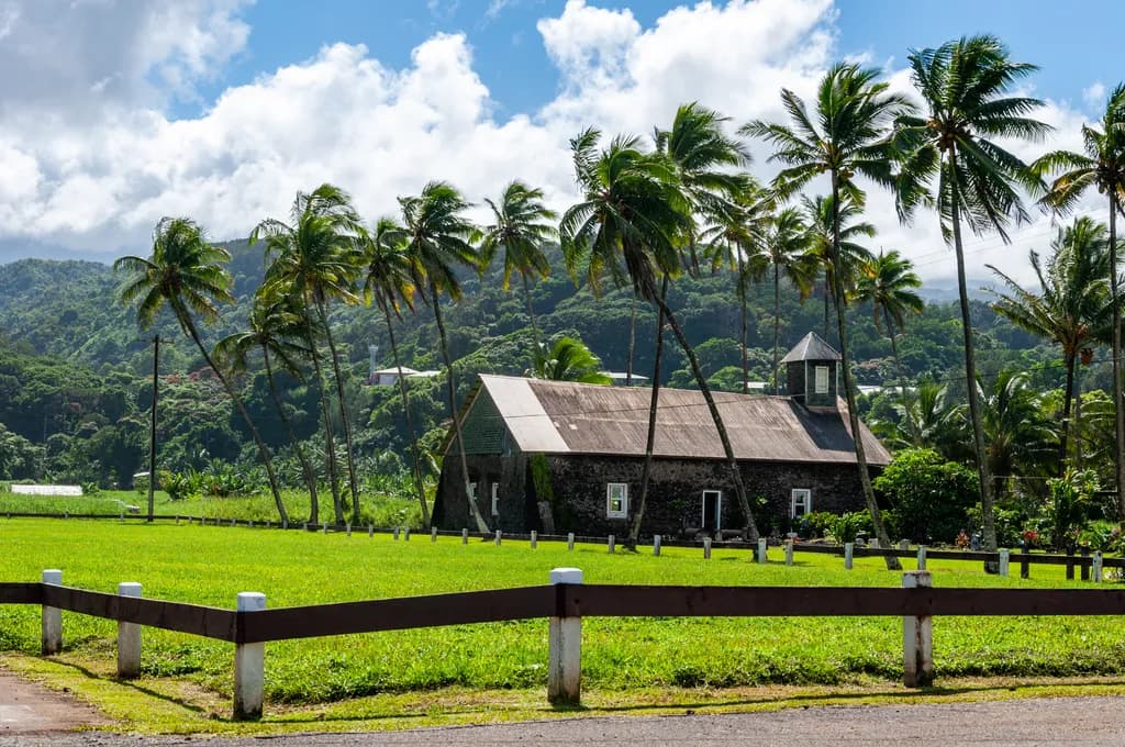 Tropical Serenity