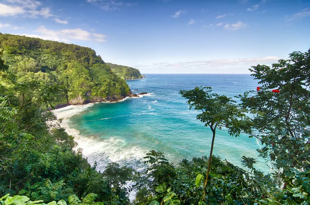 Coastal Serenity