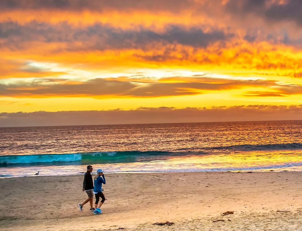 Golden Stroll