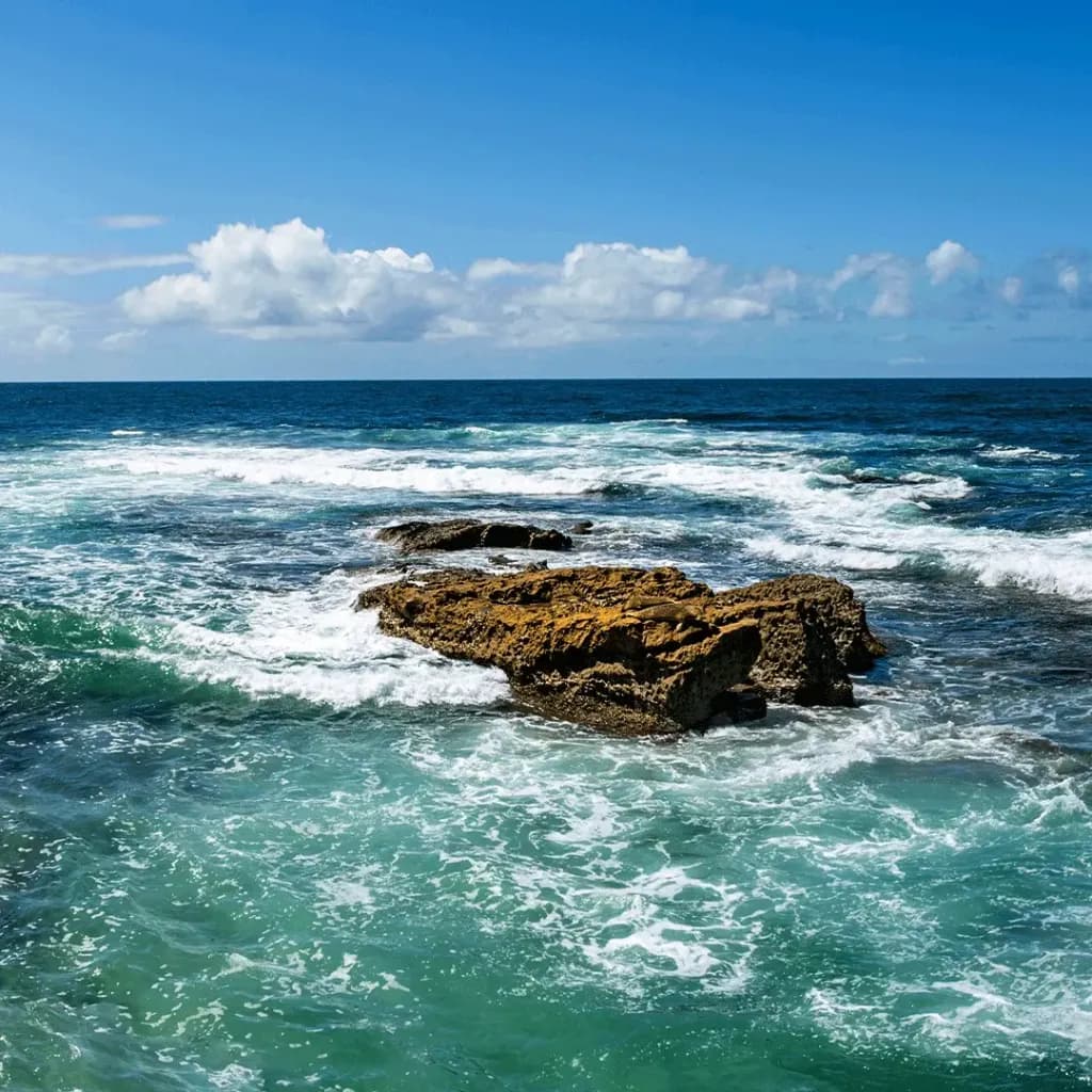 Coastal Pulse