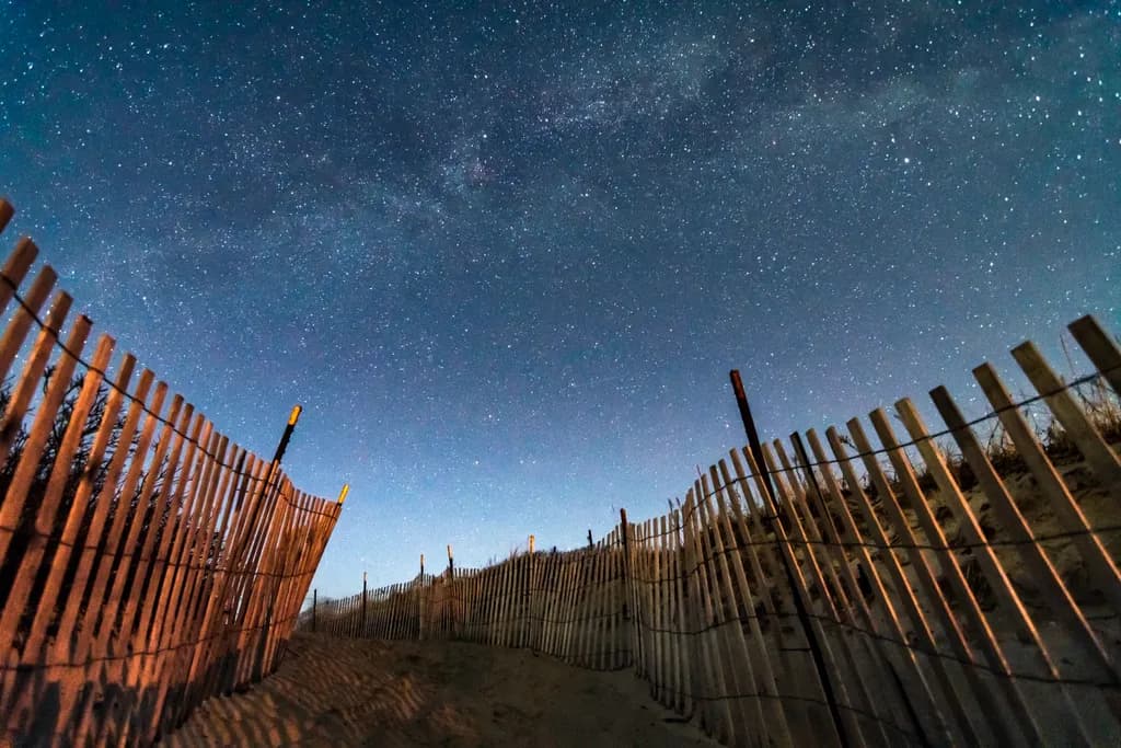 Whispers of the Night: A Serene Pathway Under the Stars