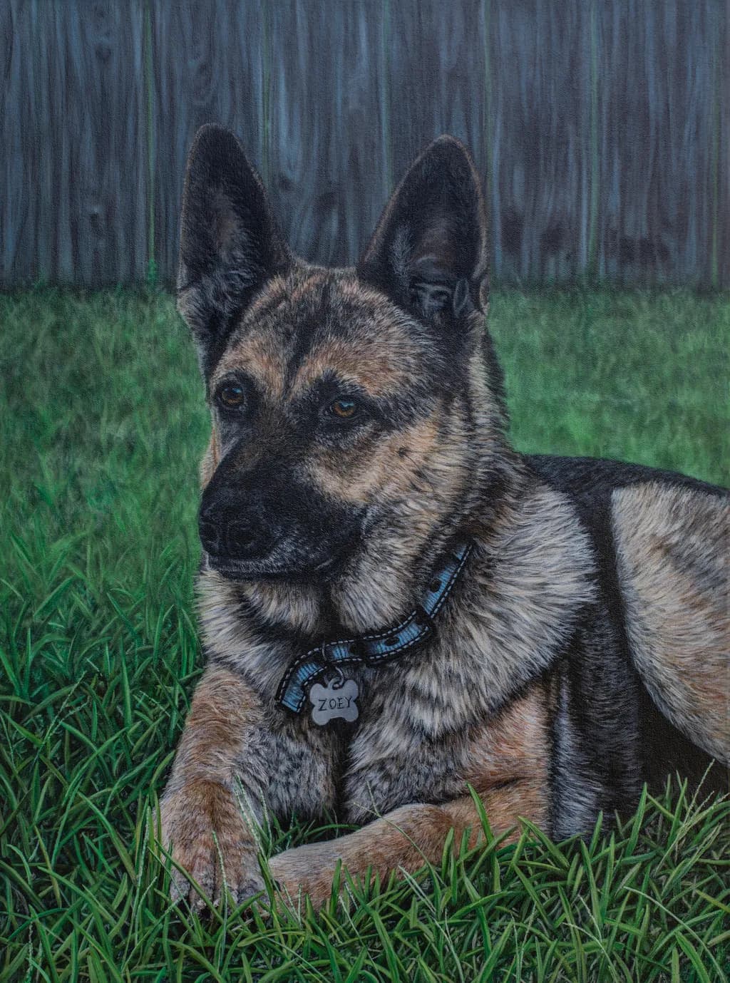 German Shepherd in Grass