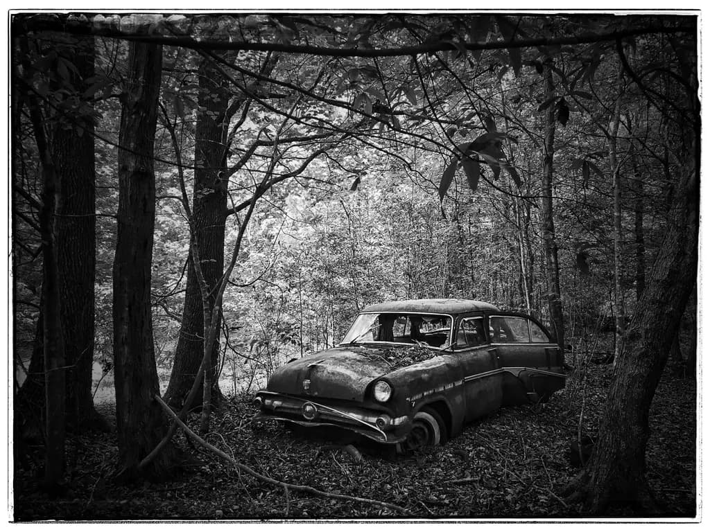Rust and Roots