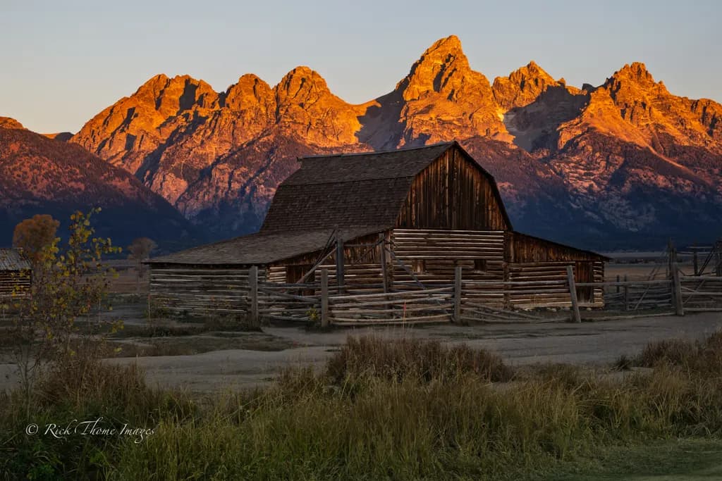 Morning at Mormon Row