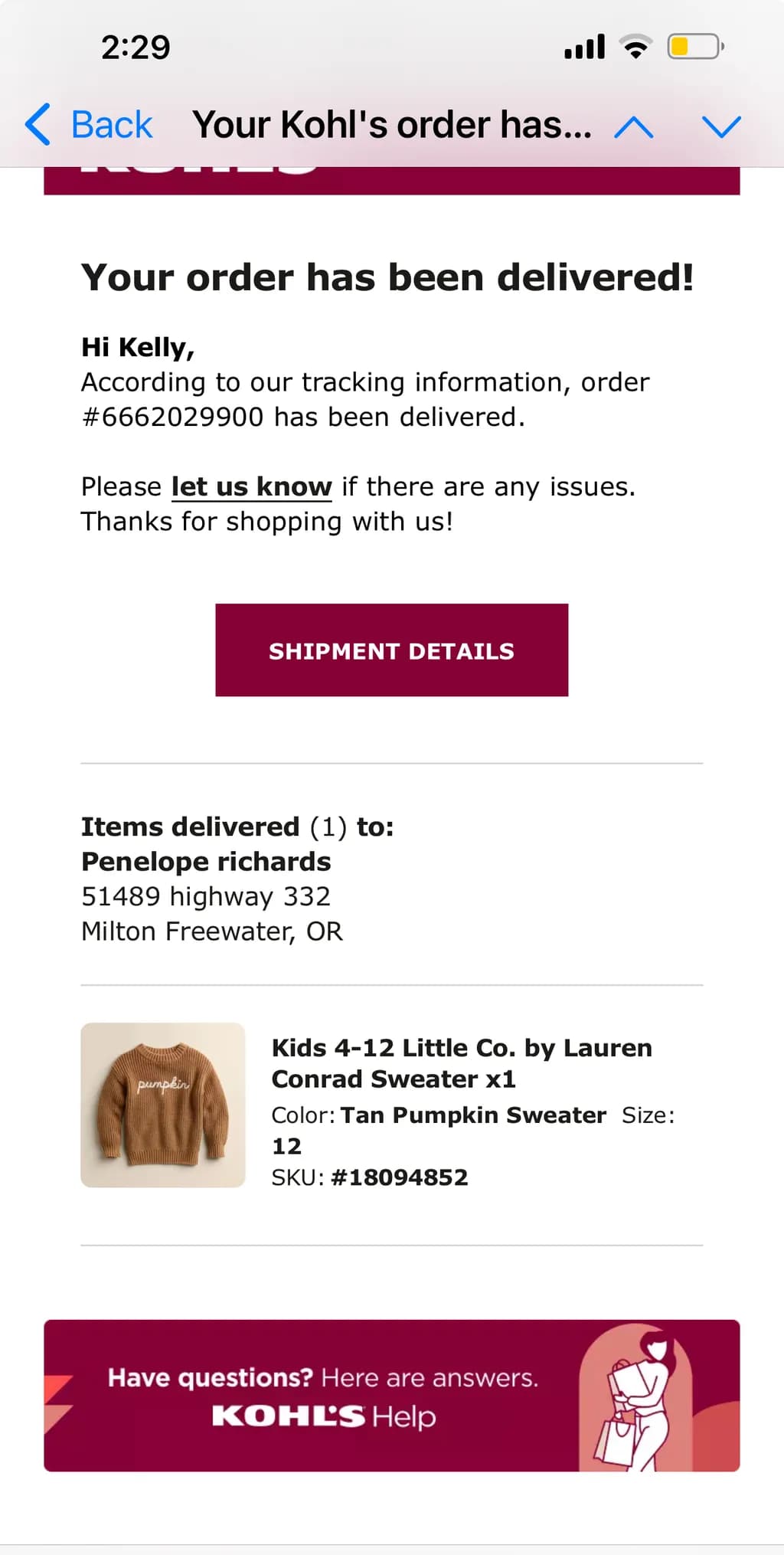 Tan Pumpkin Sweater