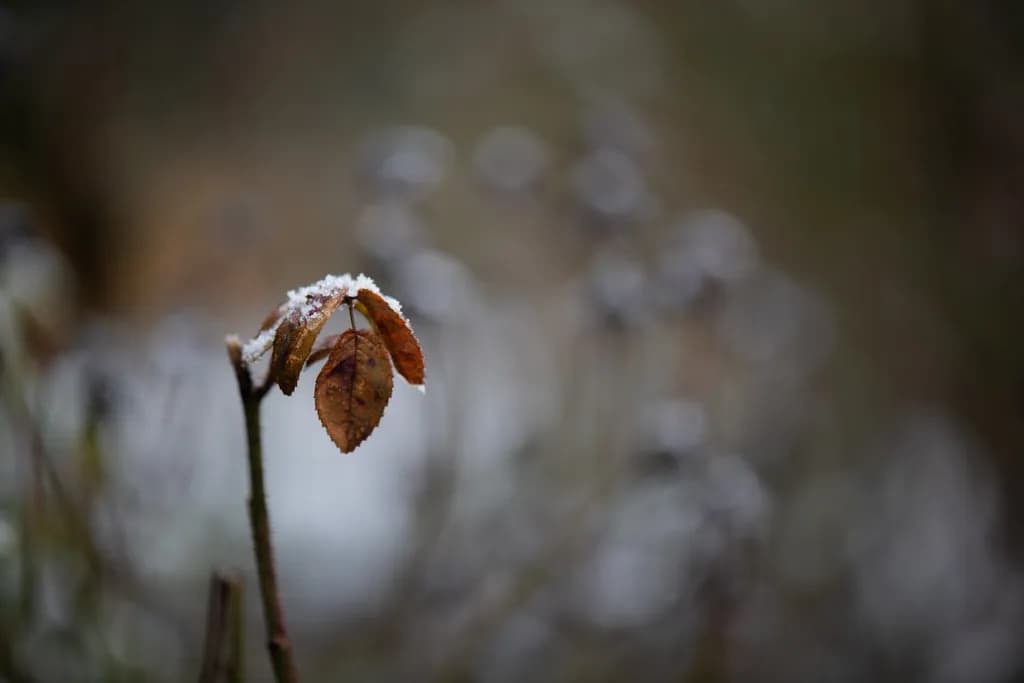 Holding onto Autumn