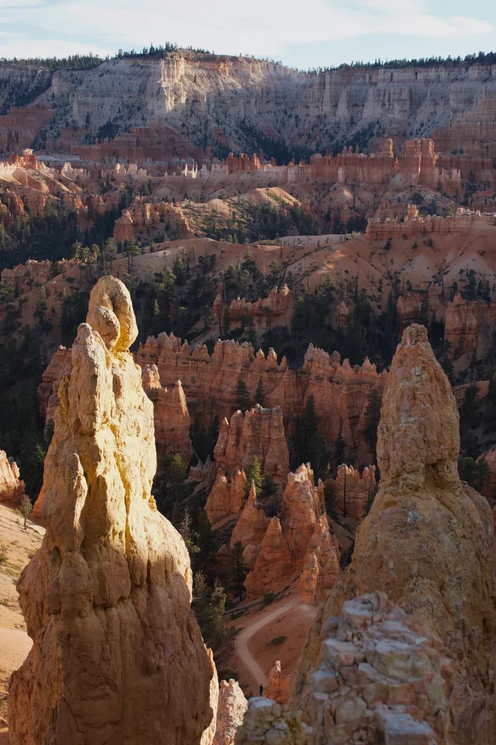 Spice of Bryce