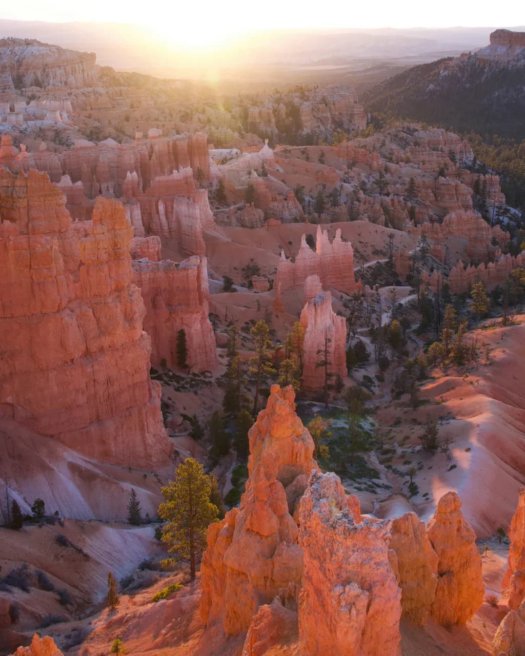 Twice as Bryce