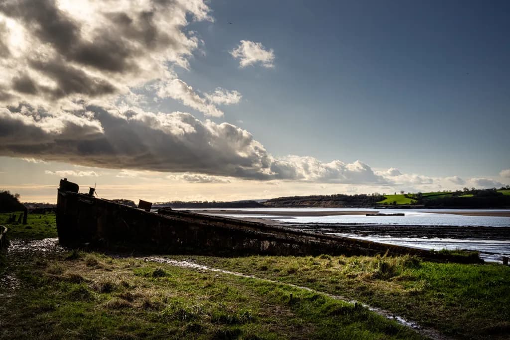 Boat on Grassy Shore