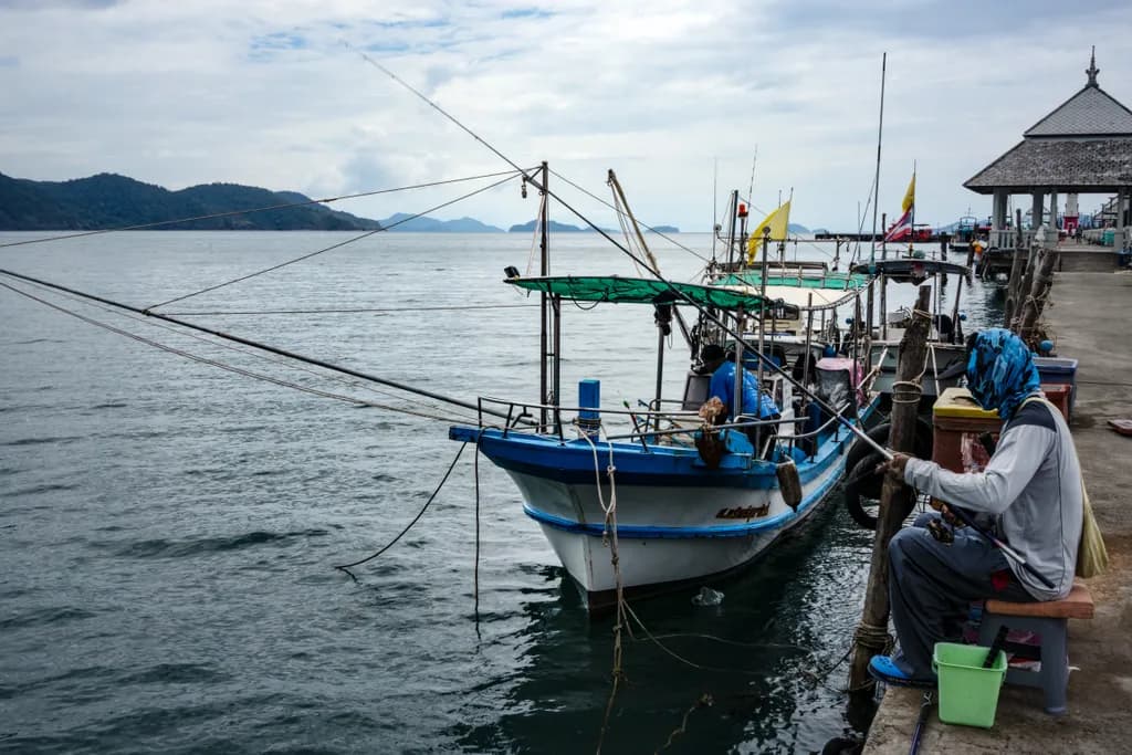Harbor Fishing, Lines Attached