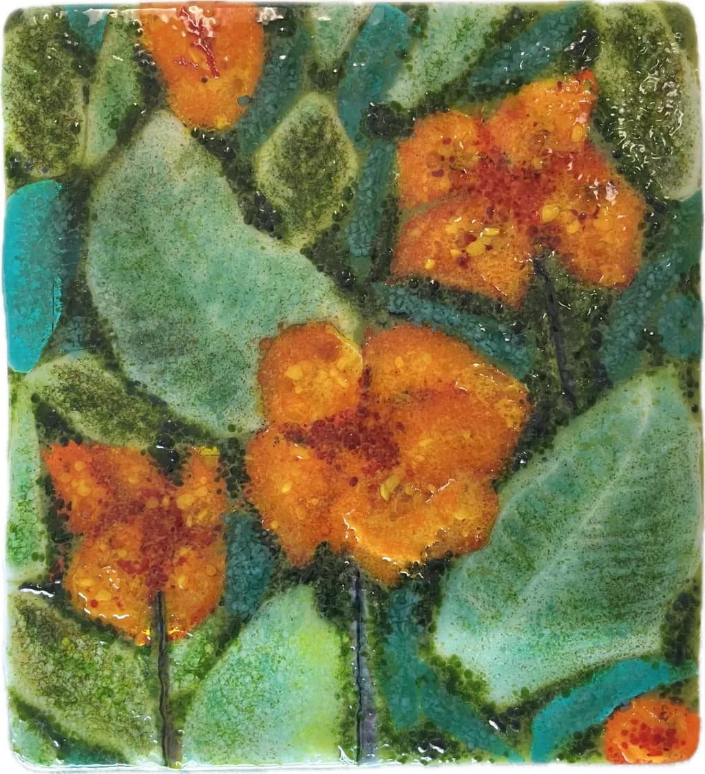 Pretoria Cannas