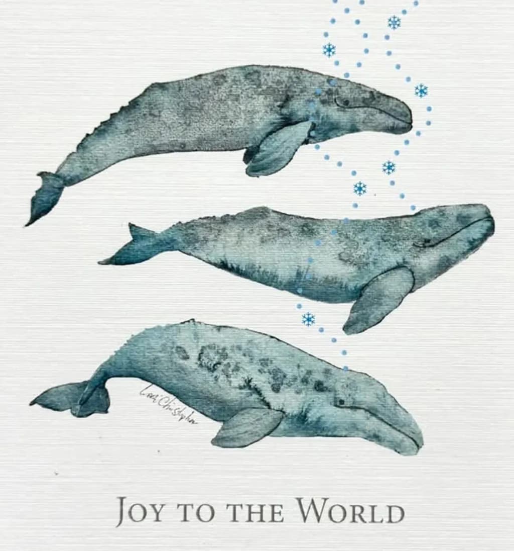 Whale Harmony