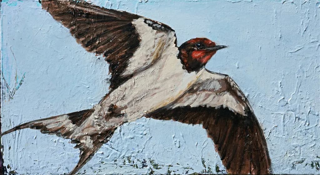 Soaring Elegance: A Captivating Portrait of a Bird in Flight