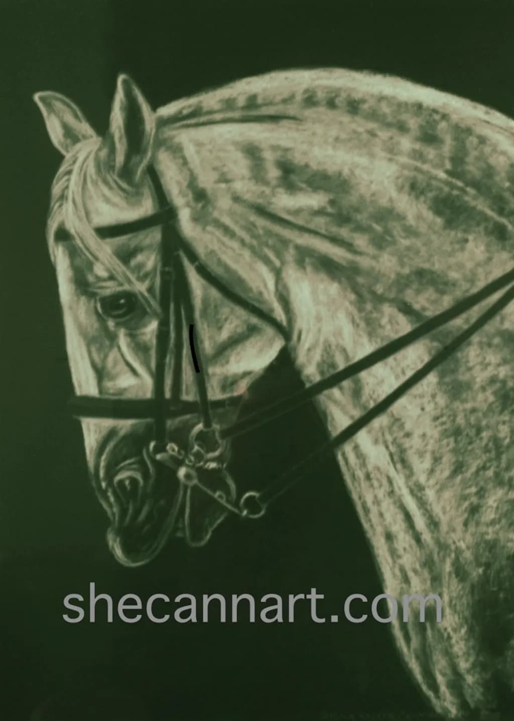 Equestrian Grace