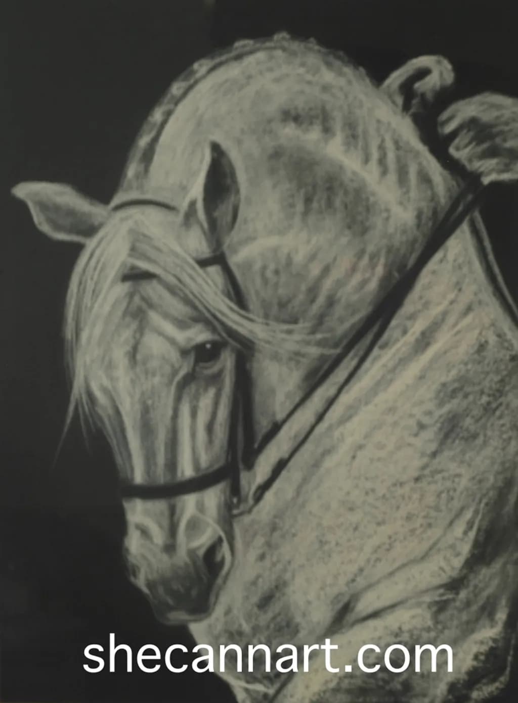 Silent Horse Profile