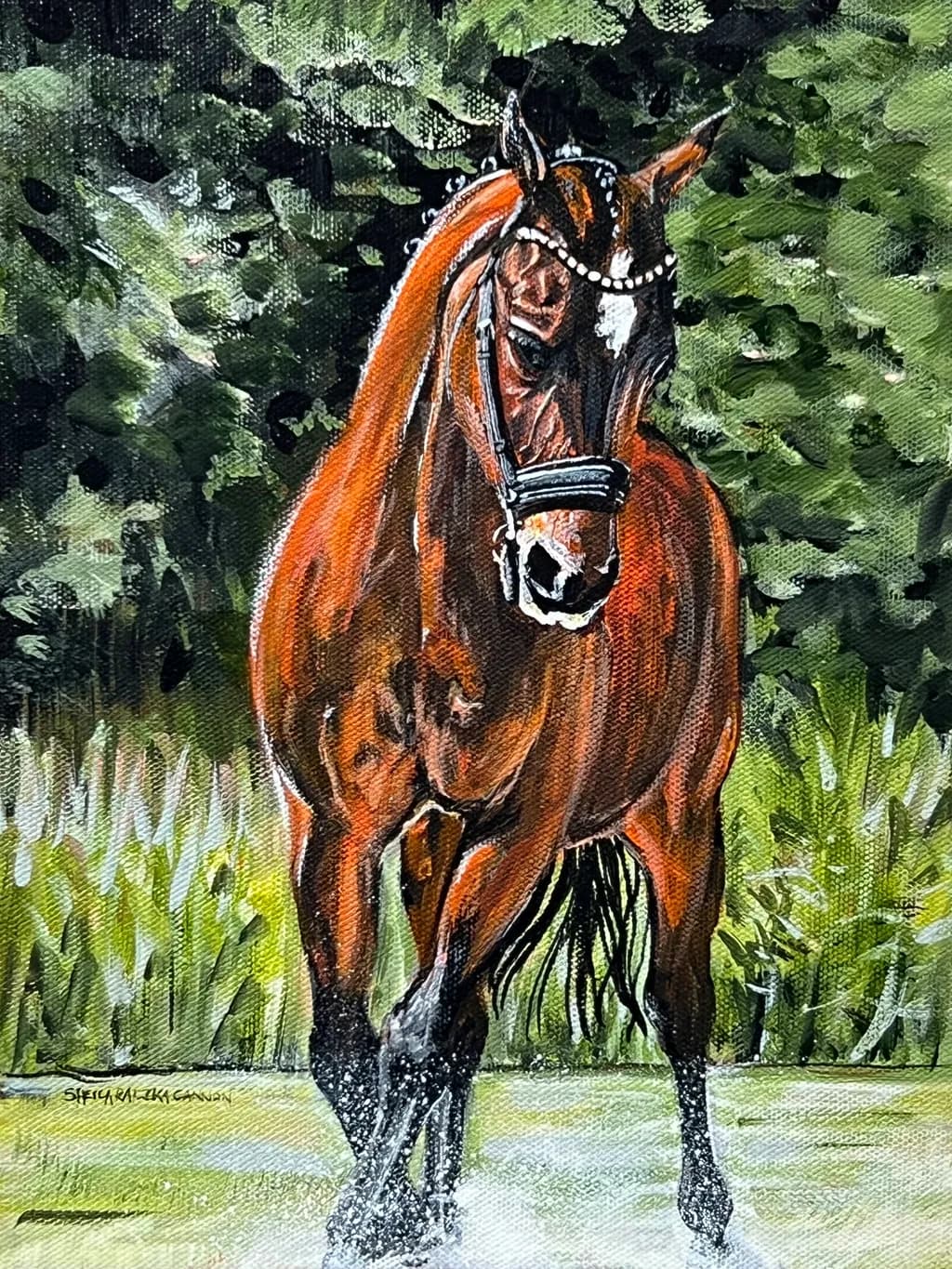 Horse in Water