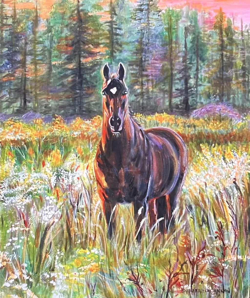Forest Horse Meadow