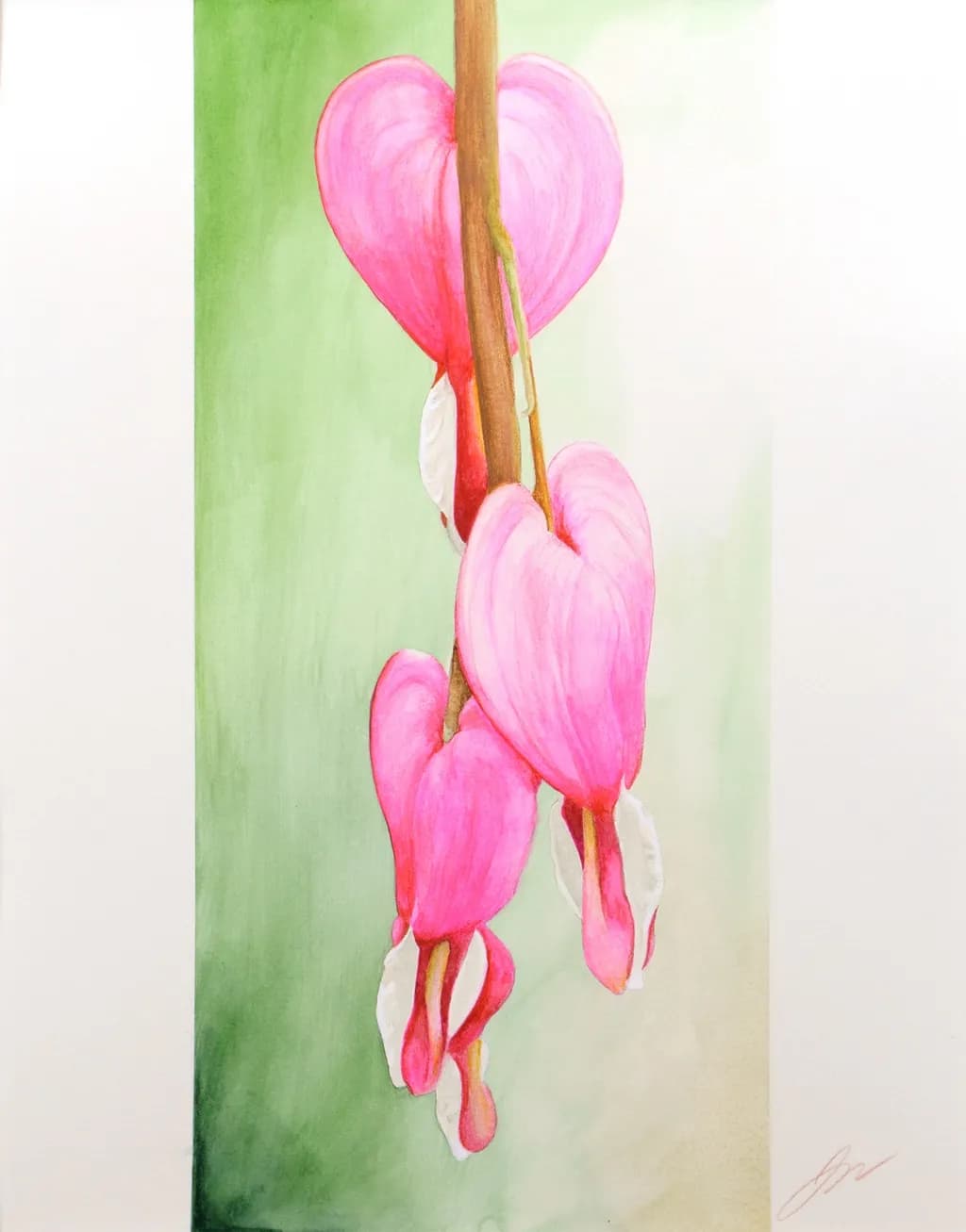 Bleeding Hearts